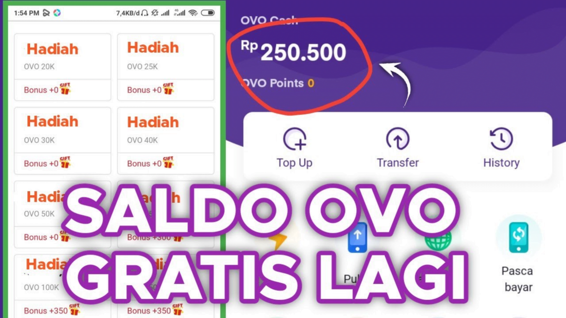 Cara Mendapatkan Saldo Ovo Gratis 2021