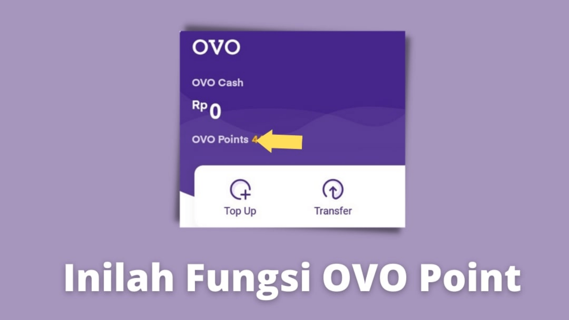 Fungsi dan Kegunaan OVO Points