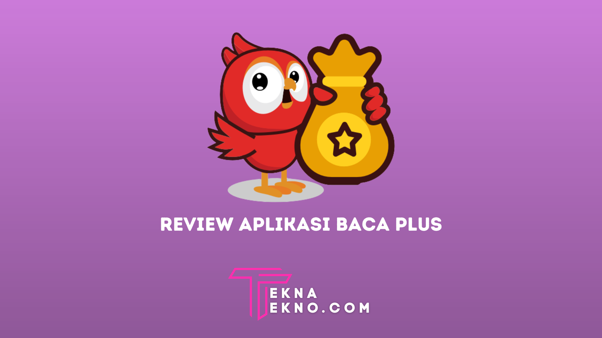 Review Lengkap Aplikasi Baca Plus: Kelebihan dan Kekurangan