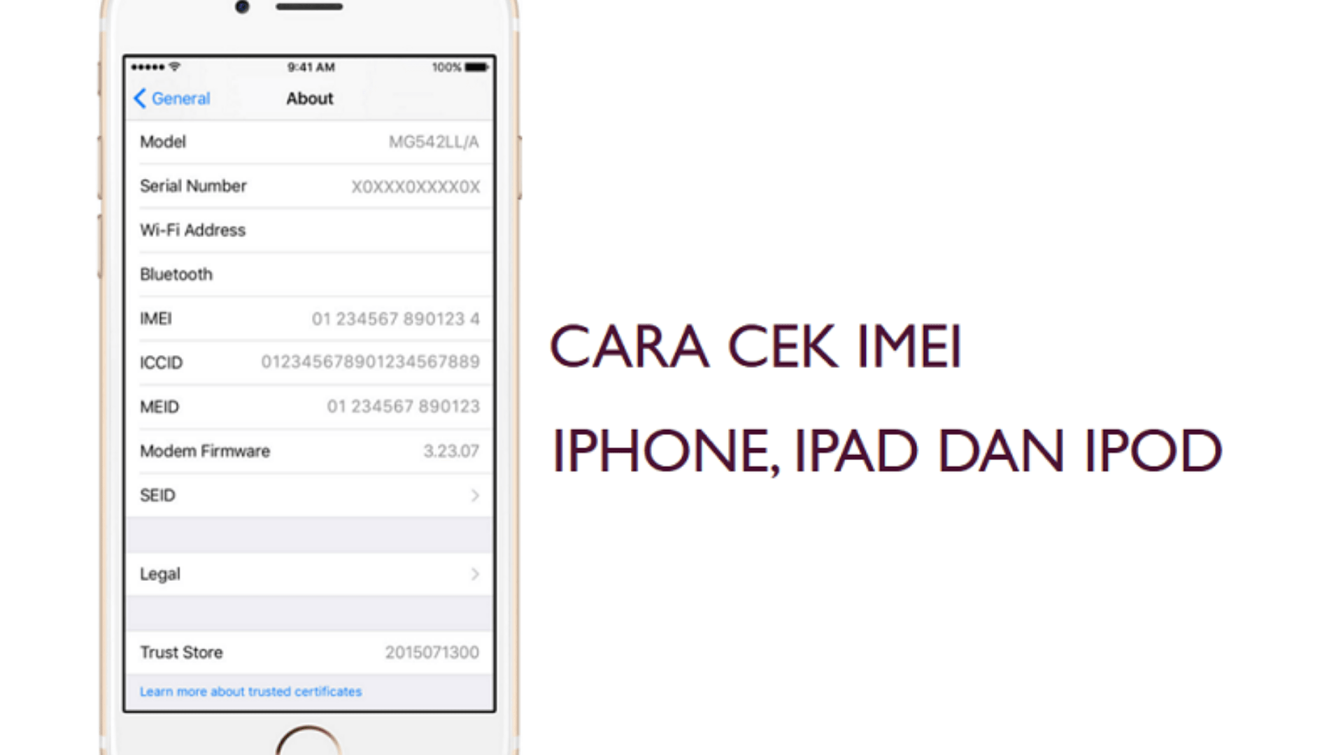Serial Number iPhone Di Indonesia