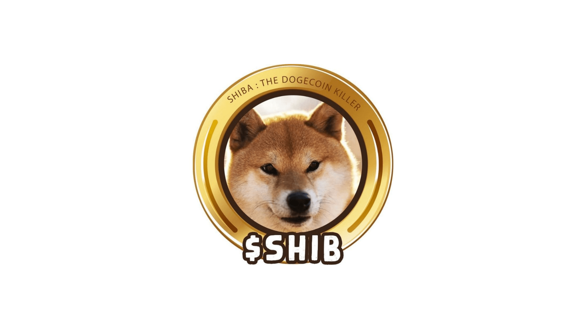 Coin Shiba Inu Melonjak Menjadi Crypto Terlaris