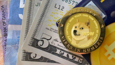 4 Risiko Investasi Crypto Dogecoin yang Harus Diketahui