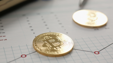 5 Jenis Coin Crypto Yang Akan Naik Nilainya