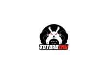 Apa itu Token Totoro Inu dan Bagaiman Cara Membelinya