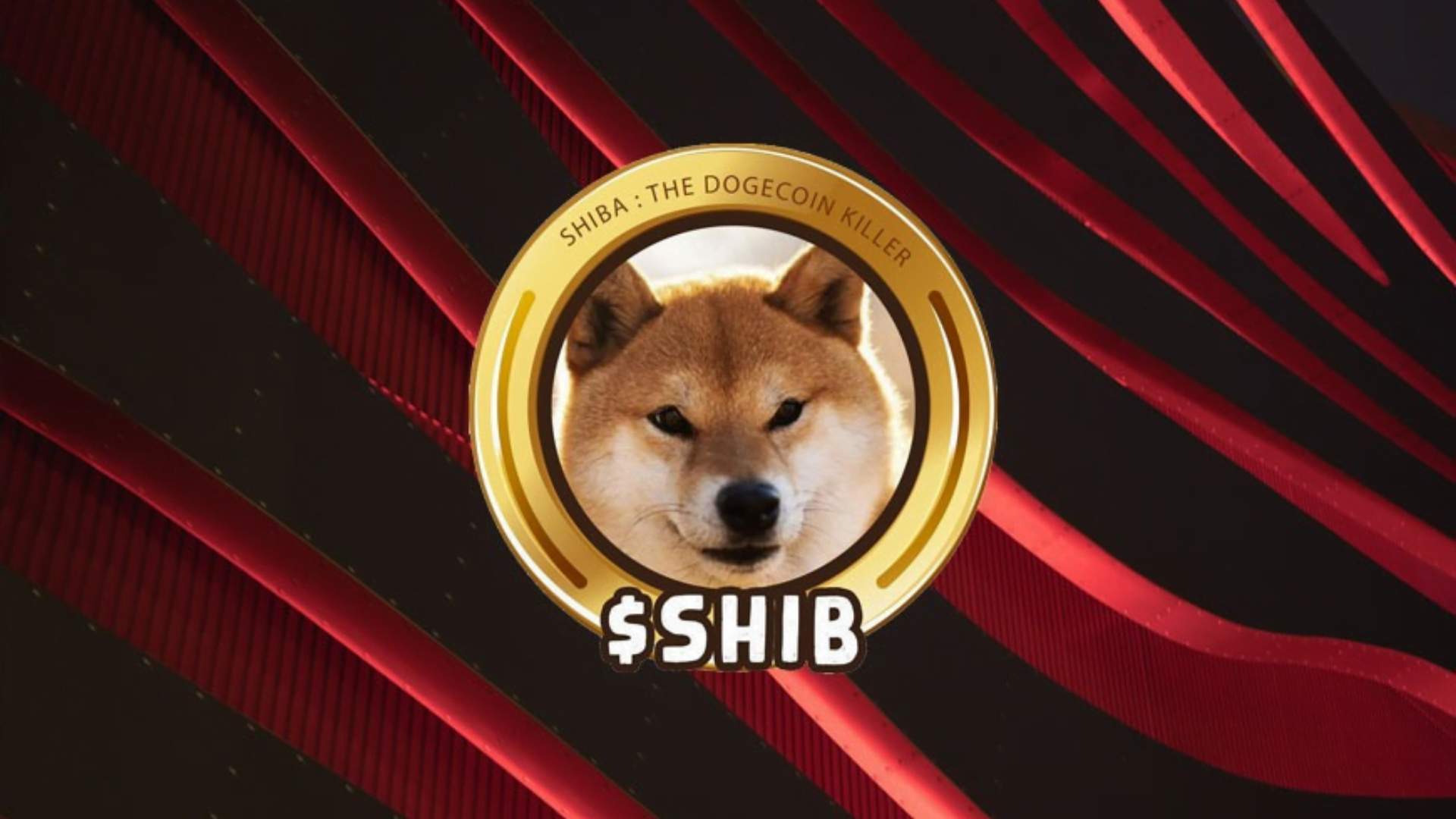 Berikut Ini Cara Beli Buff Shiba Coin BSC