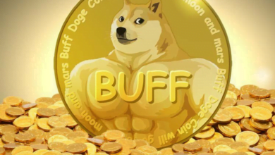 Crypto Buff Doge Coin Harga Melesat Cepat