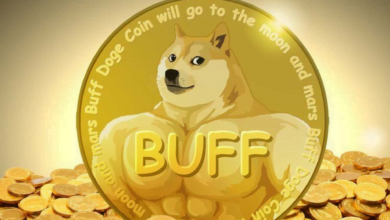 Harga Buff Doge Coin November 2021