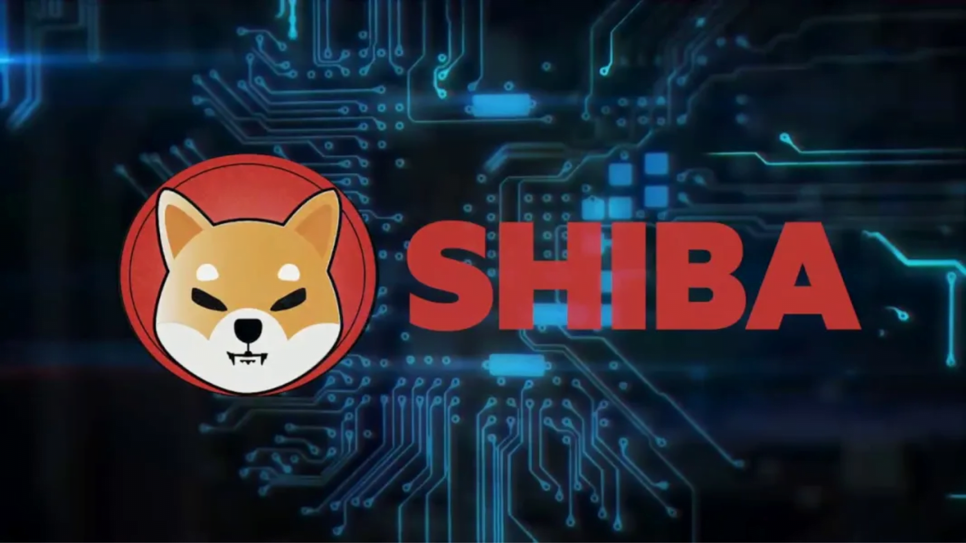 Koin Shiba Inu Vs Dogecoin Siapa yang Menang?