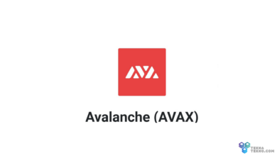 Token Avalanche (AVAX) Melonjak Tinggi Sepanjang Masa