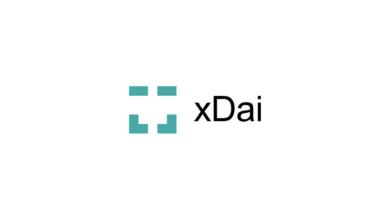 xDai Chain Blockchain Ethereum Virtual Machine (EVM)