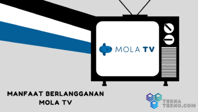 Manfaat Dari Berlangganan Platform Hiburan Mola TV