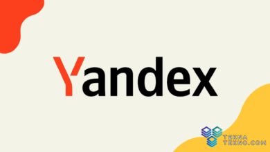 Mengenal Aplikasi Search Engine Yandex