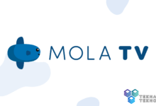 Mengenal Lebiih Dalam Tentang Aplikasi Mola TV
