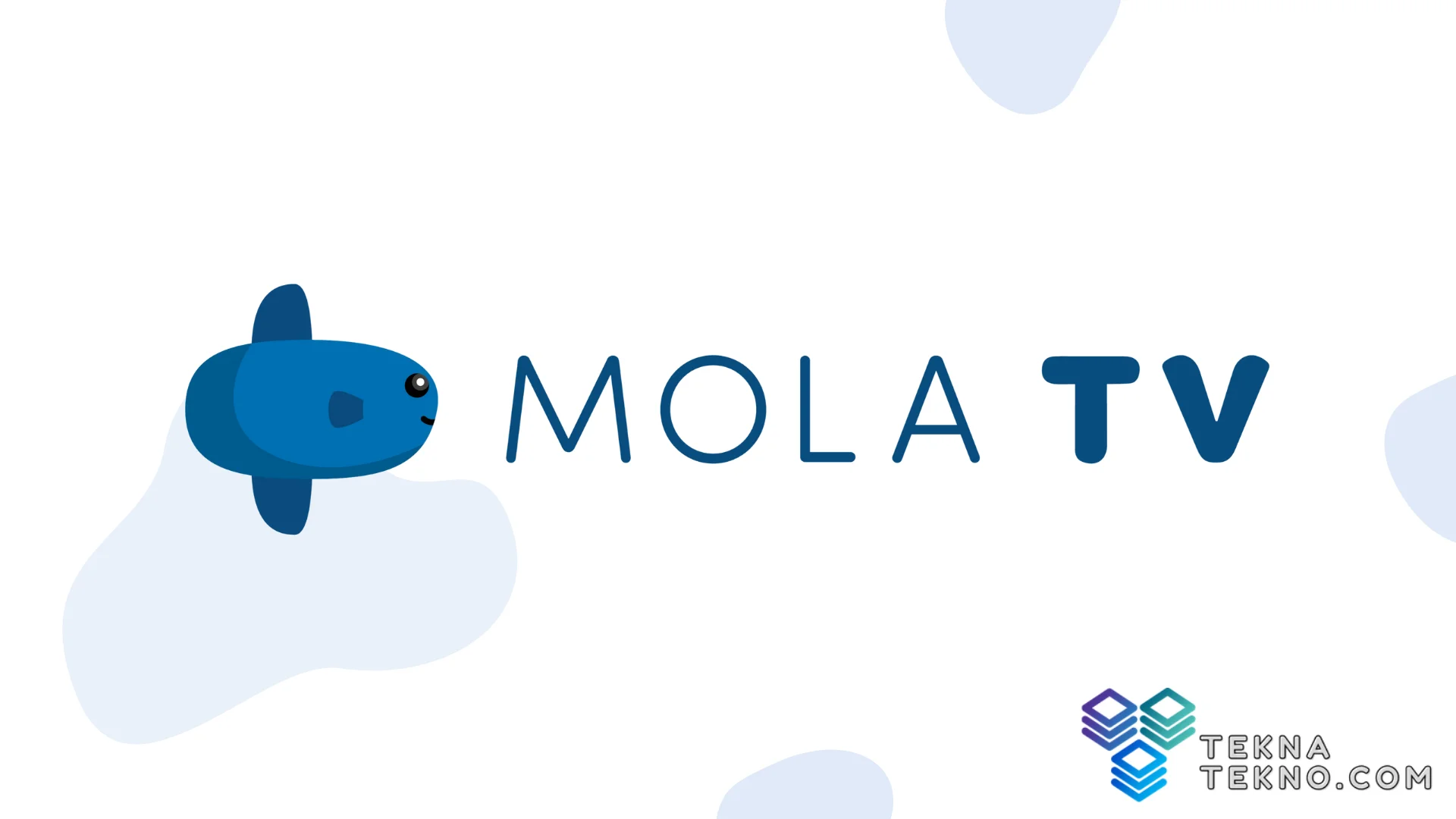 Mengenal Apa itu Aplikasi Mola TV dan Bagaimana Cara Daftarnya
