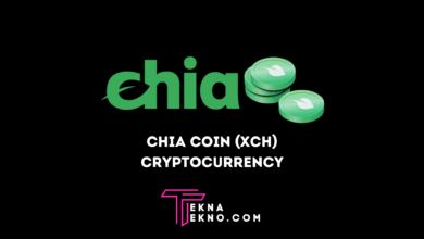 Apa itu Chia Coin (XCH) dan Cara Kerjanya