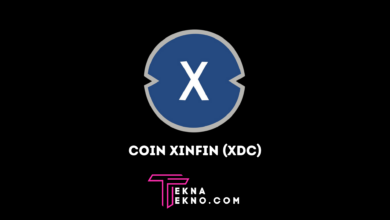 Apa itu Coin XinFin (XDC) dan Cara Kerjanya