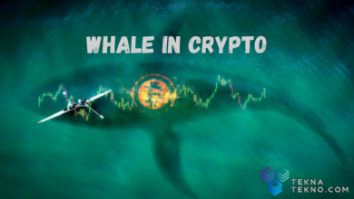 Apa itu Whale dan Pengaruhnya Dalam Aset Crypto