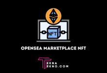 OpenSea Marketplace NFT Pertama dan Terbesar di Dunia