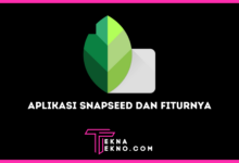 Aplikasi Snapseed Pengertian, Kelebihan dan Fiturnya