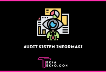 Apa itu Audit Sistem Informasi Definisi, Tujuan, dan Jenisnya