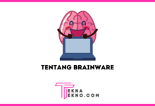 Apa itu Brainware Definisi, Fungsi dan Macamnya