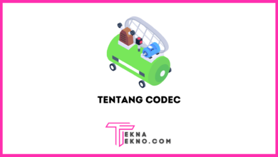 Apa itu Codec Definisi, Jenis dan Pentingnya Codec