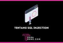 Apa itu SQL Injection Definisi, Tujuan dan Cara Mencegahnya