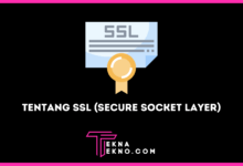 Apa itu SSL Definisi, Jenis dan Manfaatnya untuk Website