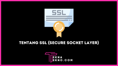 Apa itu SSL Definisi, Jenis dan Manfaatnya untuk Website