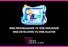 Bedanya Web Programmer, Web Designer, Web Developer dan Web Master