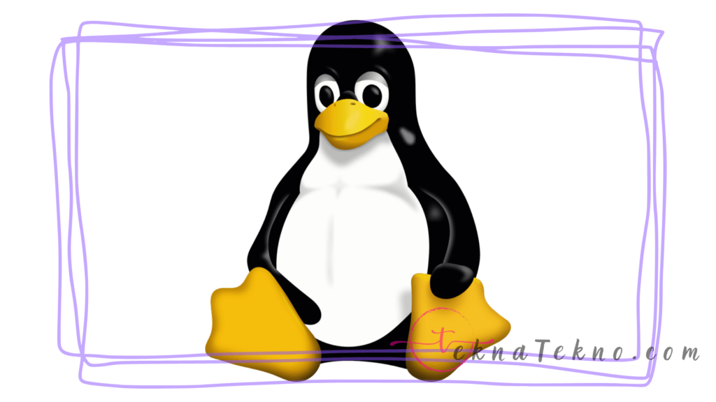 Cara Instalasi Linux