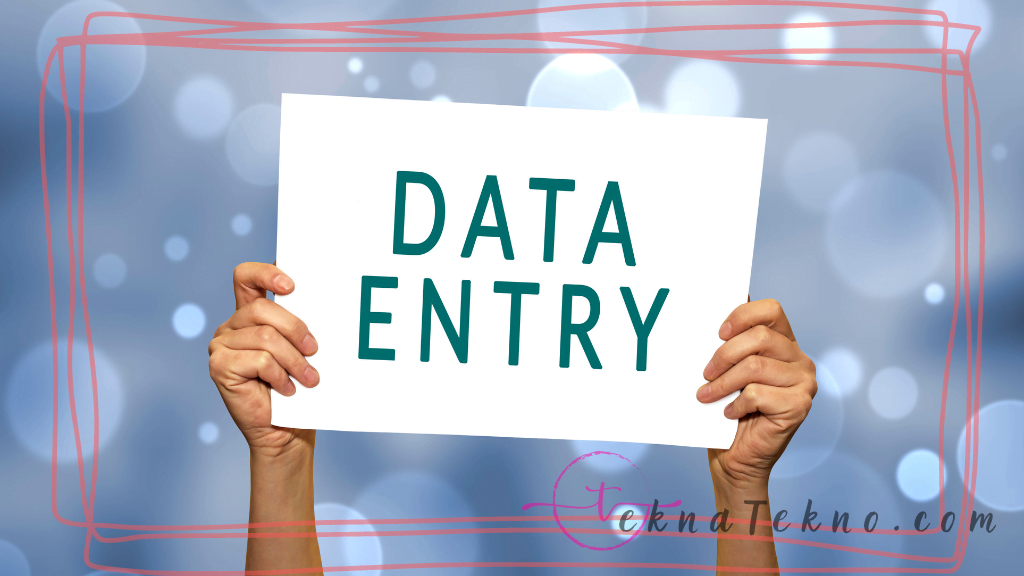 Pengertian Profesi Data Entry