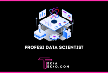 Profesi Data Scientist Tugas dan Skill yang Dibutuhkan