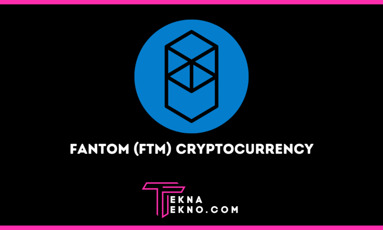 Apa itu Fantom (FTM)_ Aset Kripto Baru yang Lagi Naik Daun