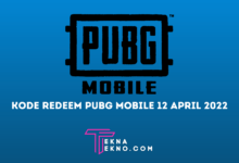 Buruan Klaim! Kode Redeem PUBG Mobile 12 April 2022 Terbaru