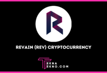 Revain (REV) Cryptocurrency_ Pengertian, Harga, dan Tempat Beli