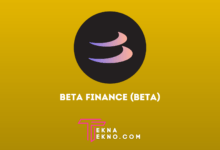 Apa itu Beta Finance (BETA) Coin dan Bagaimana Cara Kerjanya_