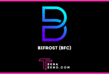 Apa itu Bifrost (BFC), Investor Pemula Wajib Tau