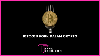 Apa itu Bitcoin Fork dalam Dunia Crypto_