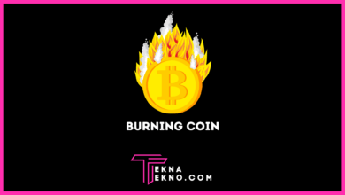 Apa itu Burning Coin_ Begini Cara Kerja dan Tujuannya