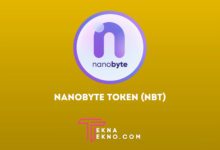Apa itu NanoByte Token (NBT)_ Crypto Lokal yang Didukung Sinar Mas Group