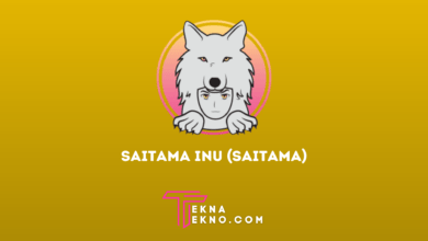 Apa itu Saitama Inu (SAITAMA)_ Koin Meme Bertema Anjing Berbasis Komunitas