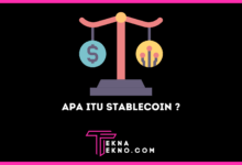 Apa itu Stablecoin dalam Crypto dan Tipenya