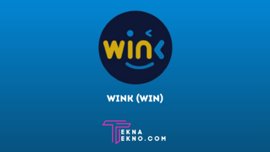 Apa itu WINk (WIN)_ Platform Game Pengganti TRONBet Berbasis Blockchain