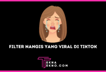 Aplikasi Muka Sedih, Filter Nangis yang Viral di TikTok