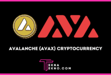 Avalanche (AVAX) Cryptocurrency_ Cara Kerja dan Keuntungan