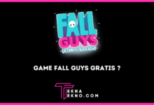 Bebas Main Gratis! Game Fall Guys Siap Rilis di Switch, Xbox, dan Epic Games