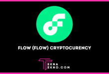 Flow (FLOW) Cryptocurrency, Token Eksklusif Untuk Staking