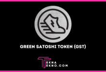 Green Satoshi Token (GST), Token Penting untuk Main Game STEPN