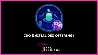 Mengenal IDO (Initial DEX Offering) dalam Trading Crypto